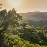 Countryside behind Marbella