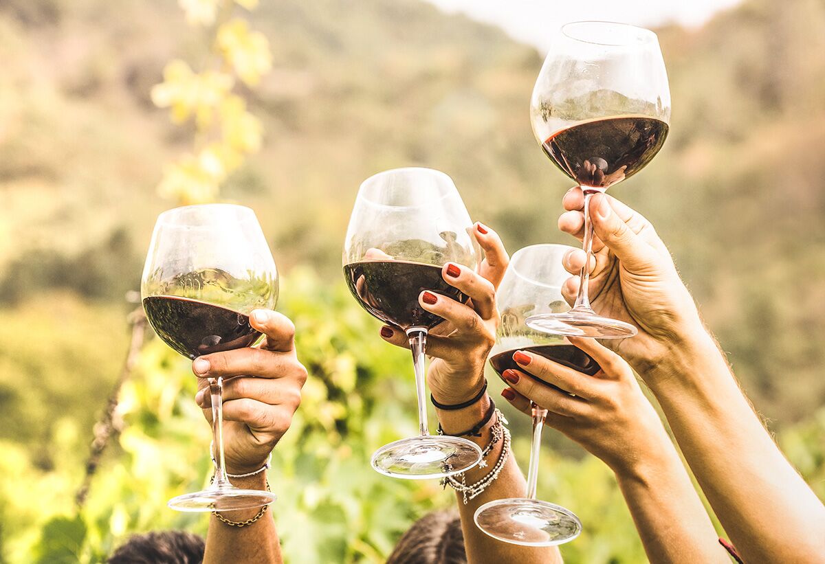 Four wine glasses held high in the air in the vineyard