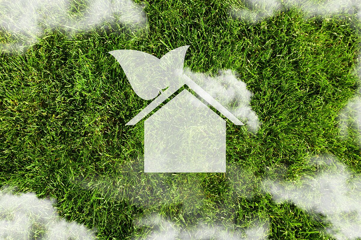 Looking down onto green grass and white clouds with a house logo