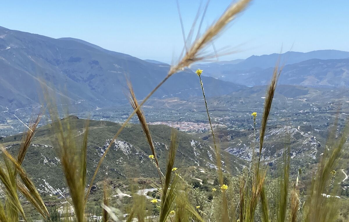 the-alchemy-of-las-alpujarras-01 Las Alpujarras, villages in the mountains